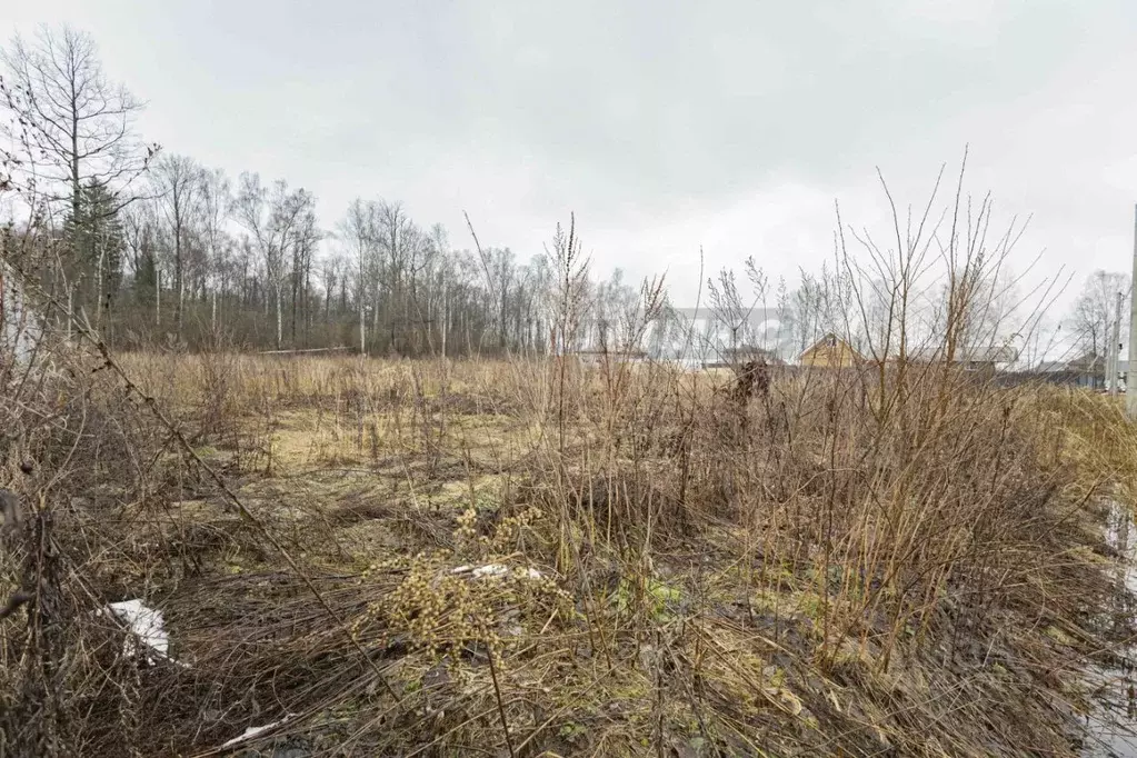 Участок в Московская область, Наро-Фоминский городской округ, д. ... - Фото 1