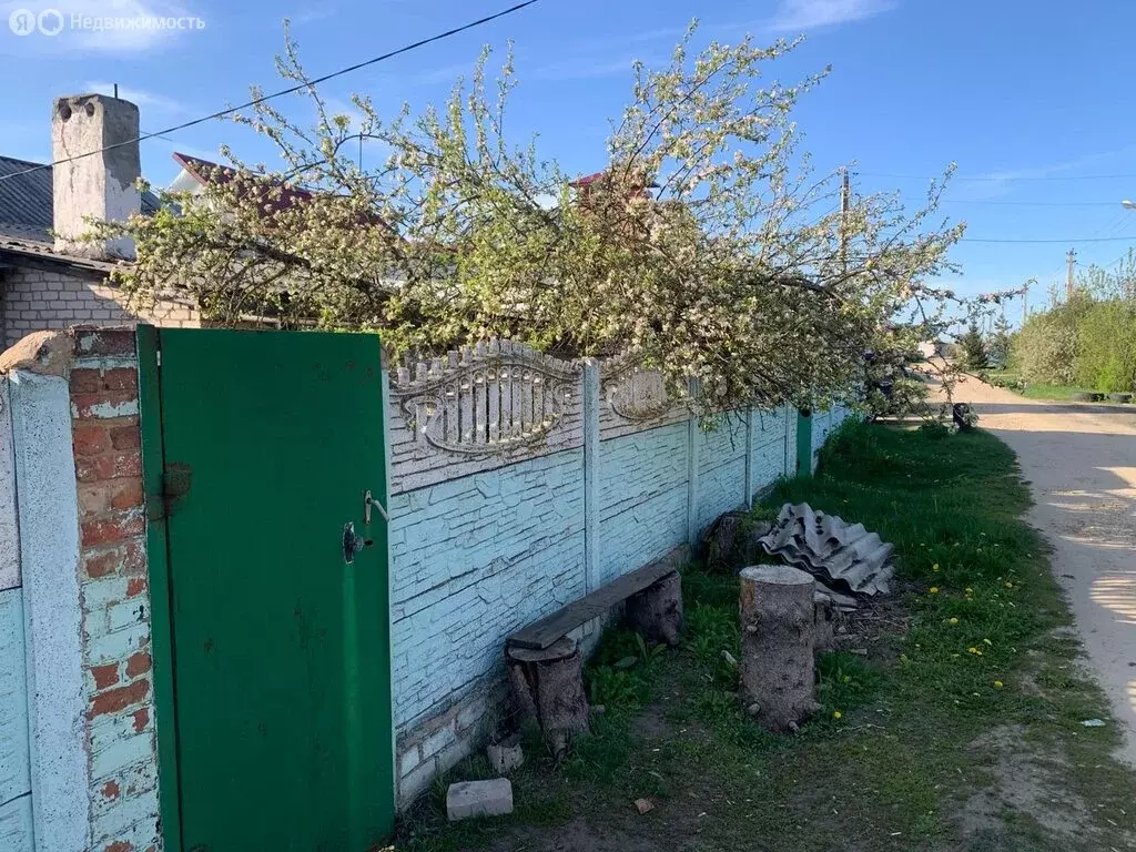 Дом в деревня Нижняя Лужна, Полевая улица, 1А (66 м) - Фото 1