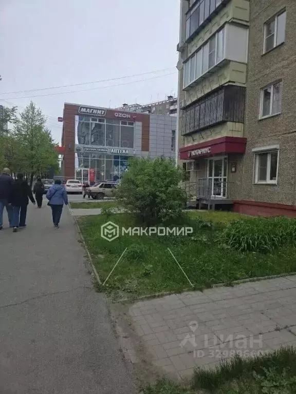 Помещение свободного назначения в Челябинская область, Челябинск ул. ... - Фото 1