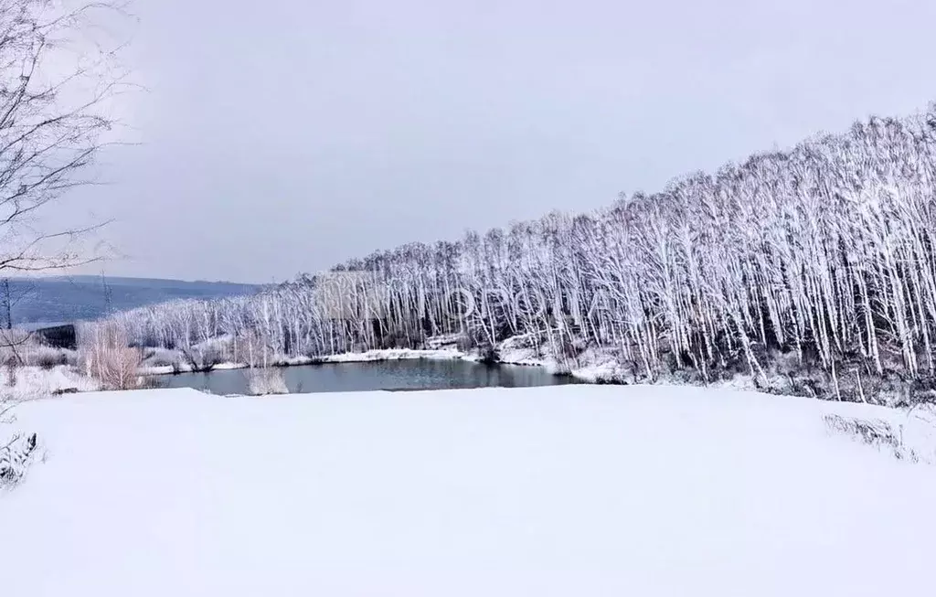 Участок в Кемеровская область, Новокузнецкий муниципальный округ, пос. ... - Фото 1
