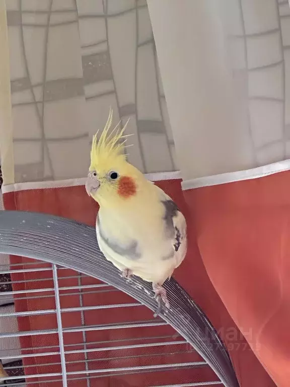 Дом в Башкортостан, Иглинский сельсовет, д. Ягодная  (85 м) - Фото 1