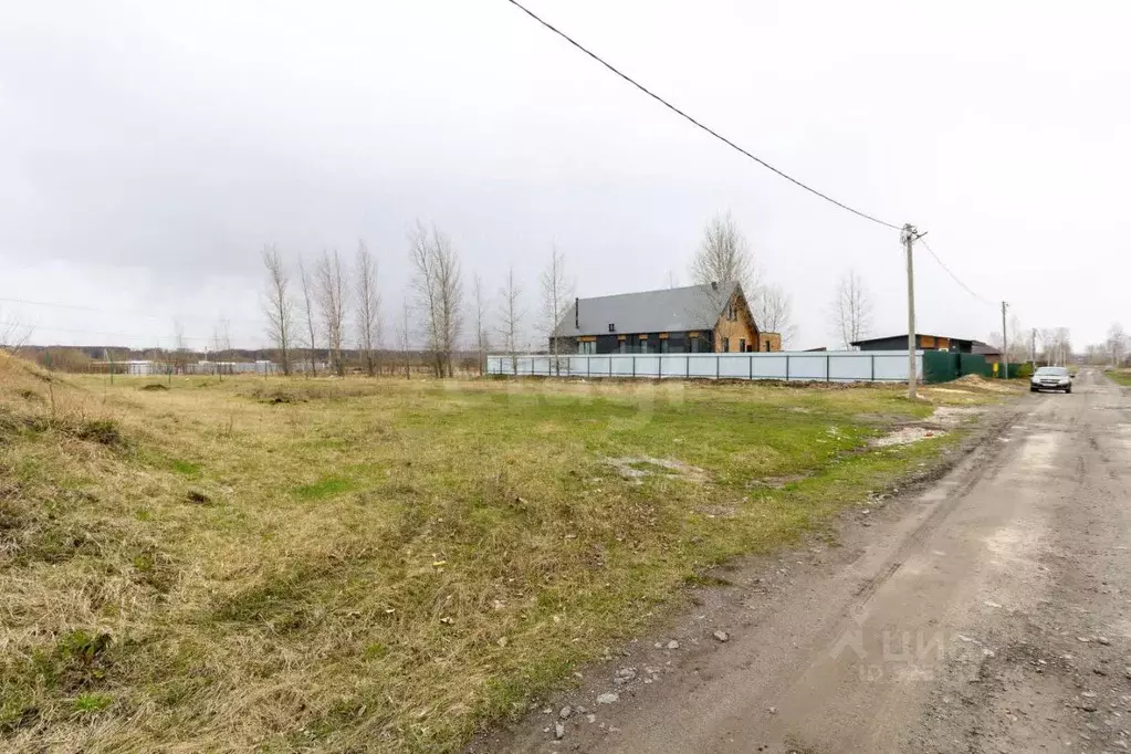 Участок в Тюменская область, Тюменский муниципальный округ, Горячий ... - Фото 1