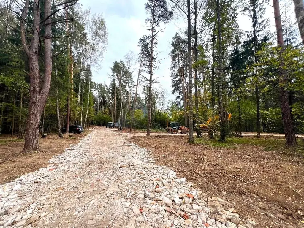 Участок в Московская область, Чехов муниципальный округ, д. Слепушкино ... - Фото 2