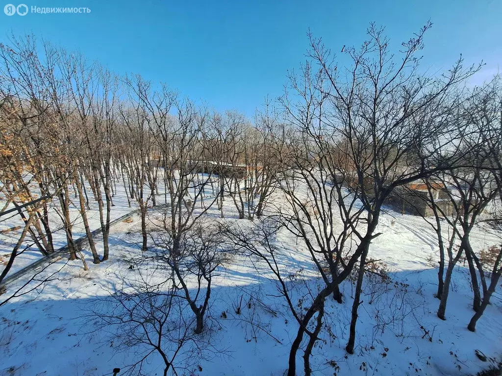 2-комнатная квартира: Лесозаводск, улица Будника, 115 (52.2 м) - Фото 1