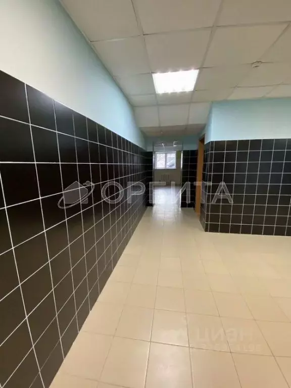 Офис в Тюменская область, Тюмень ул. Василия Гольцова, 26 (28 м) - Фото 2