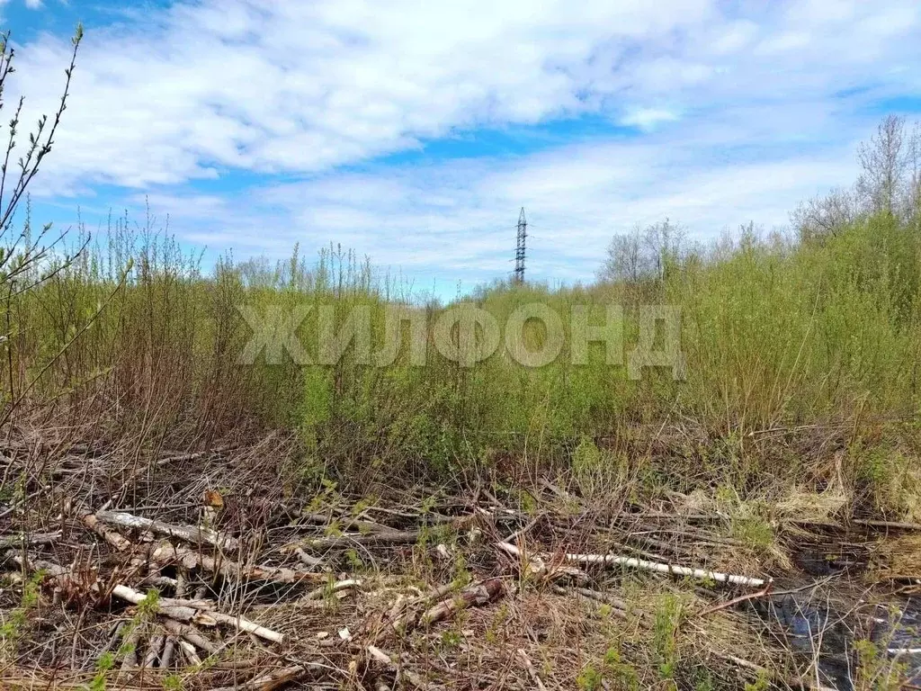 Участок в Архангельская область, Архангельск Южная Маймакса мкр, ул. ... - Фото 1