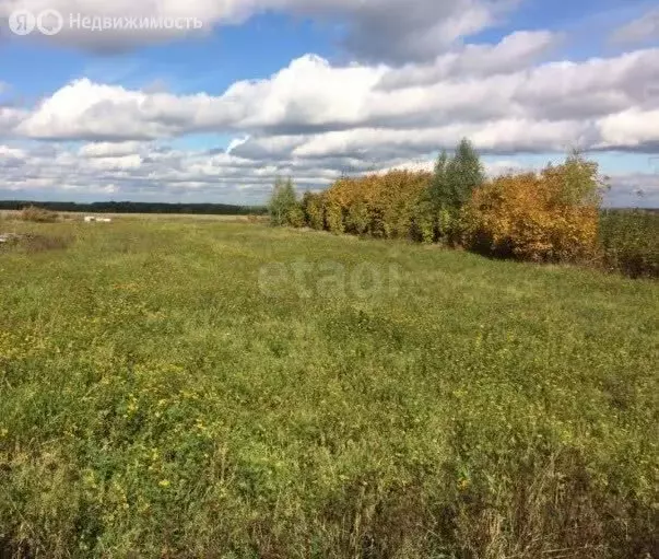 Участок в Вологодский муниципальный округ, деревня Жилино, Южный ... - Фото 1