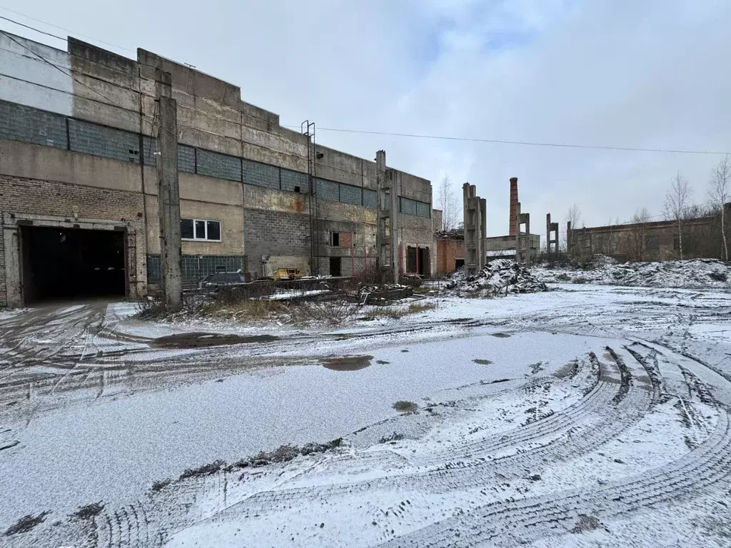 Производственное помещение в Новгородская область, Новгородский район, ... - Фото 1