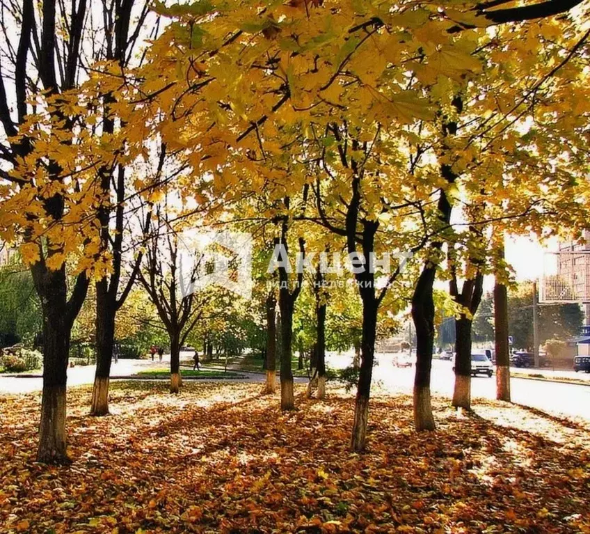 Дом в Ивановская область, Кохма ул. Связи, 4 (86 м) - Фото 1