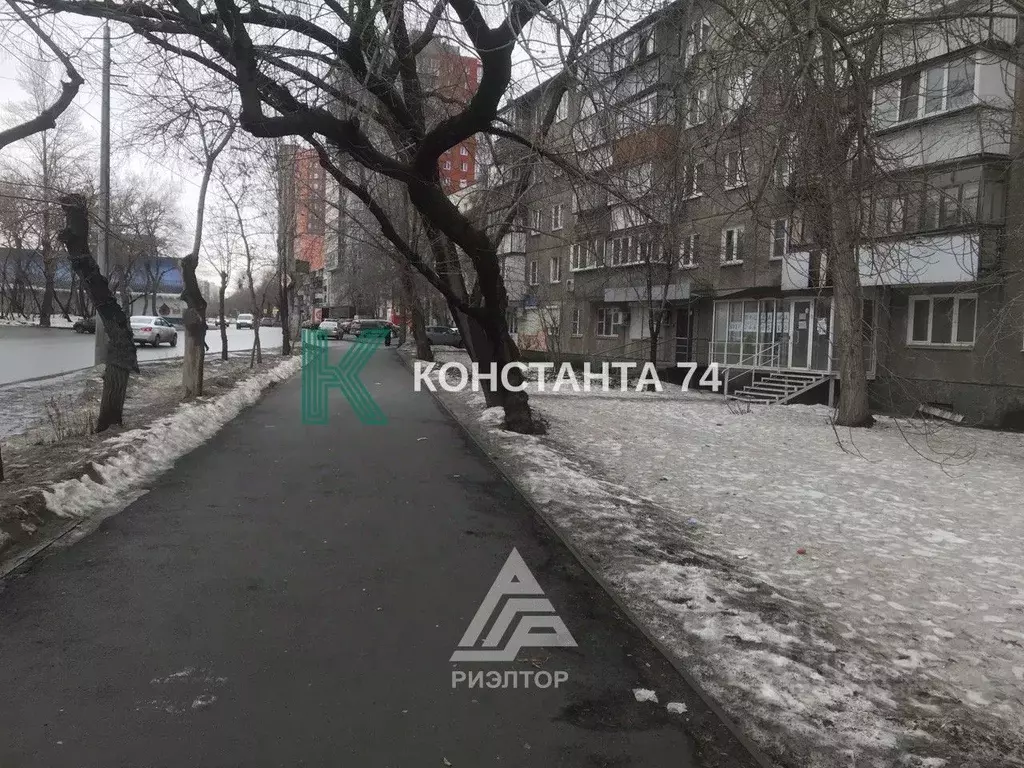 Помещение свободного назначения в Челябинская область, Челябинск ул. ... - Фото 1
