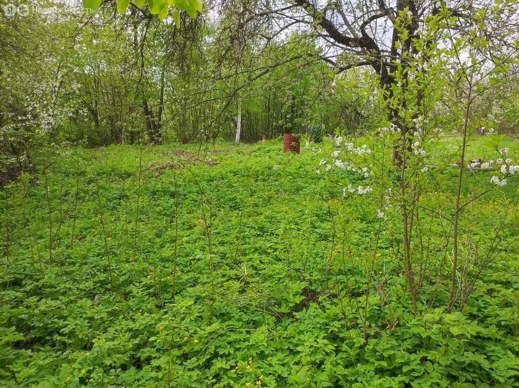 Участок в Владимир, сад Дружба-2, 3 (12.49 м) - Фото 0