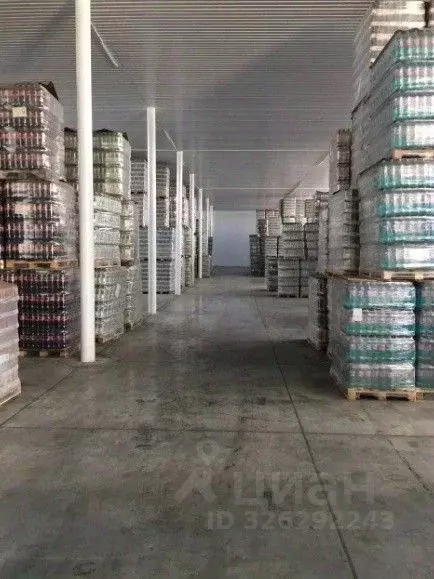 Помещение свободного назначения в Краснодарский край, Краснодар пос. ... - Фото 0