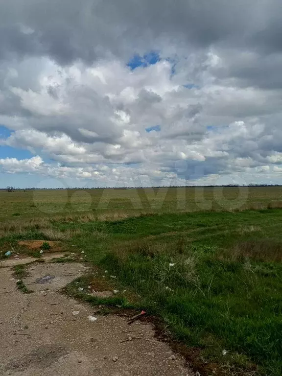 Участок 100 сот. (СНТ, ДНП) - Фото 1