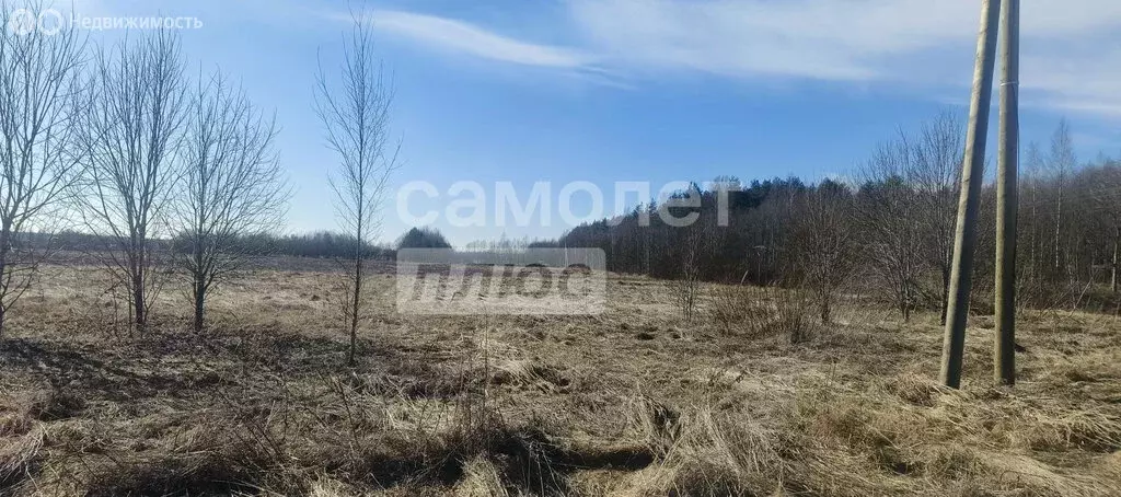 Участок в Любанское городское поселение, деревня Большое Переходное ... - Фото 2