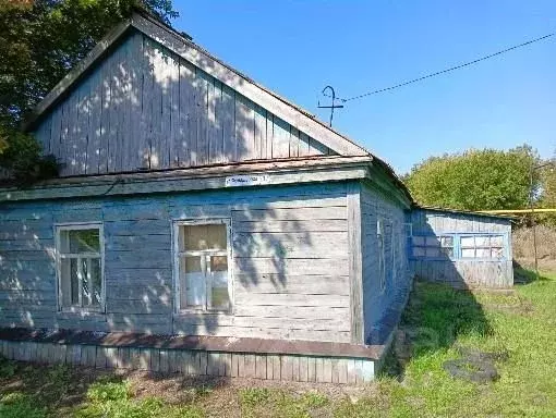 Дом в Оренбургская область, Сакмарский район, с. Белоусовка  (32 м) - Фото 2