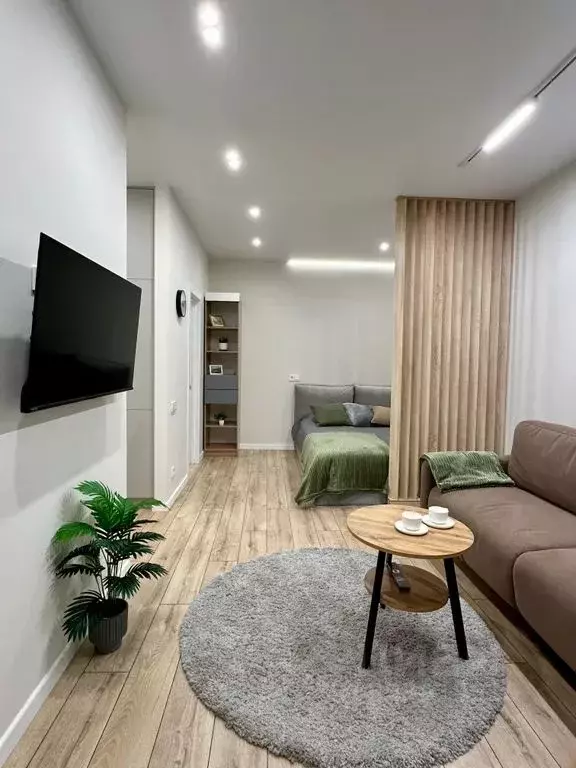 Студия Самарская область, Самара ул. Алексея Толстого, 92 (35.0 м) - Фото 2