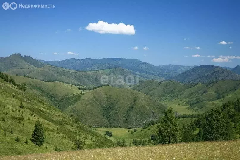 Участок в Солонешенский район, село Солонешное (389.6 м) - Фото 1