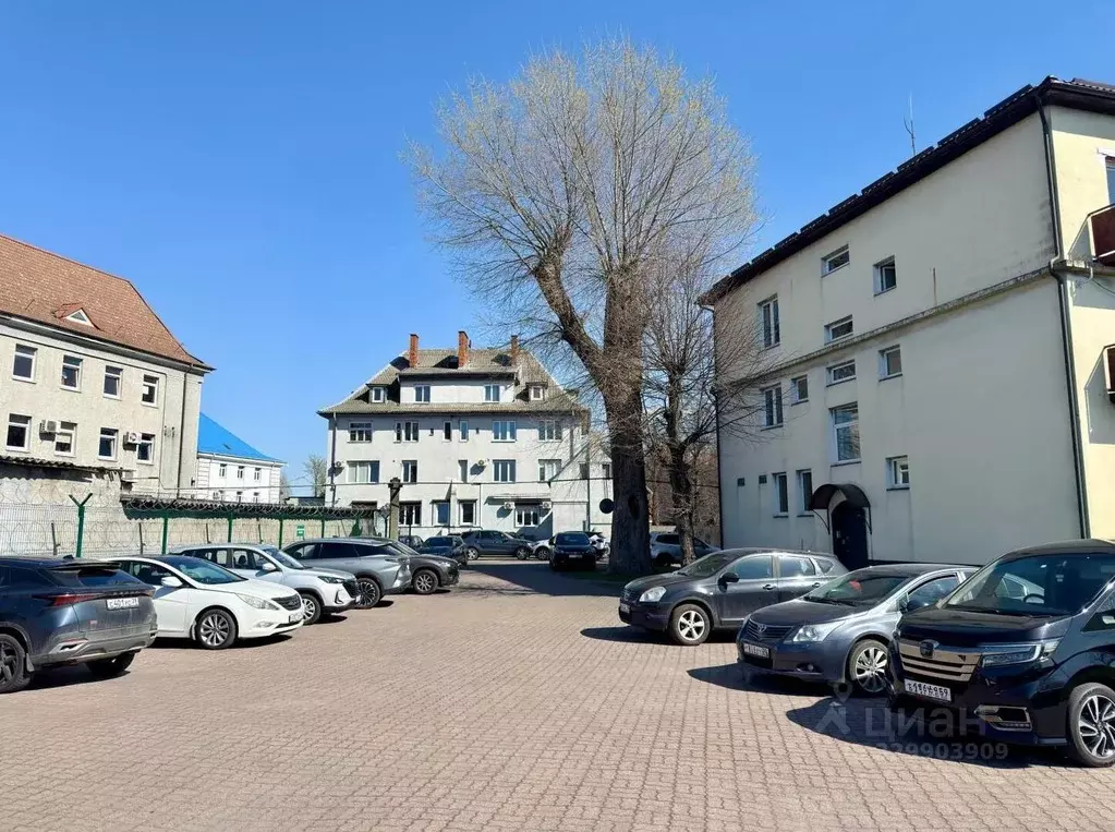 Офис в Калининградская область, Калининград Портовая ул., 88 (480 м) - Фото 2
