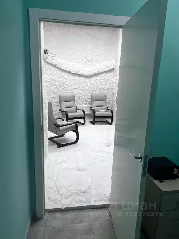 Помещение свободного назначения в Ленинградская область, Кингисепп ул. ... - Фото 2