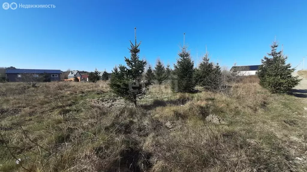 Участок в Янтарный городской округ, посёлок Синявино (10.1 м) - Фото 1