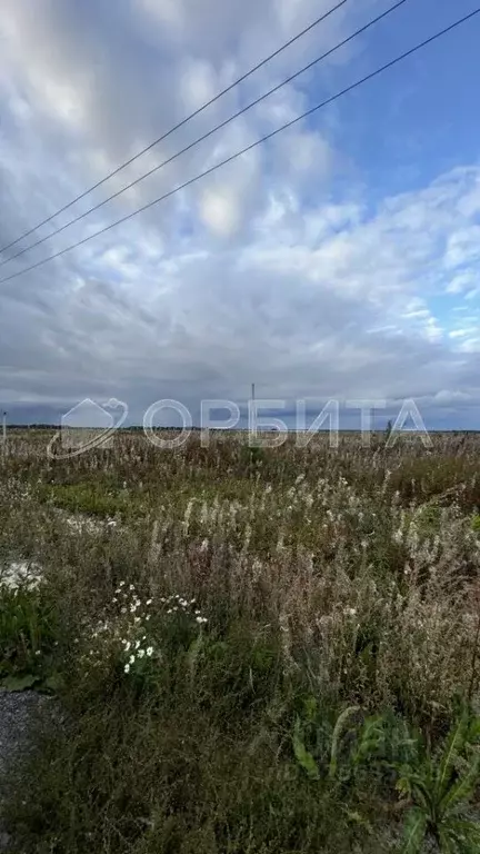 Участок в Тюменская область, Тюменский муниципальный округ, д. ... - Фото 1
