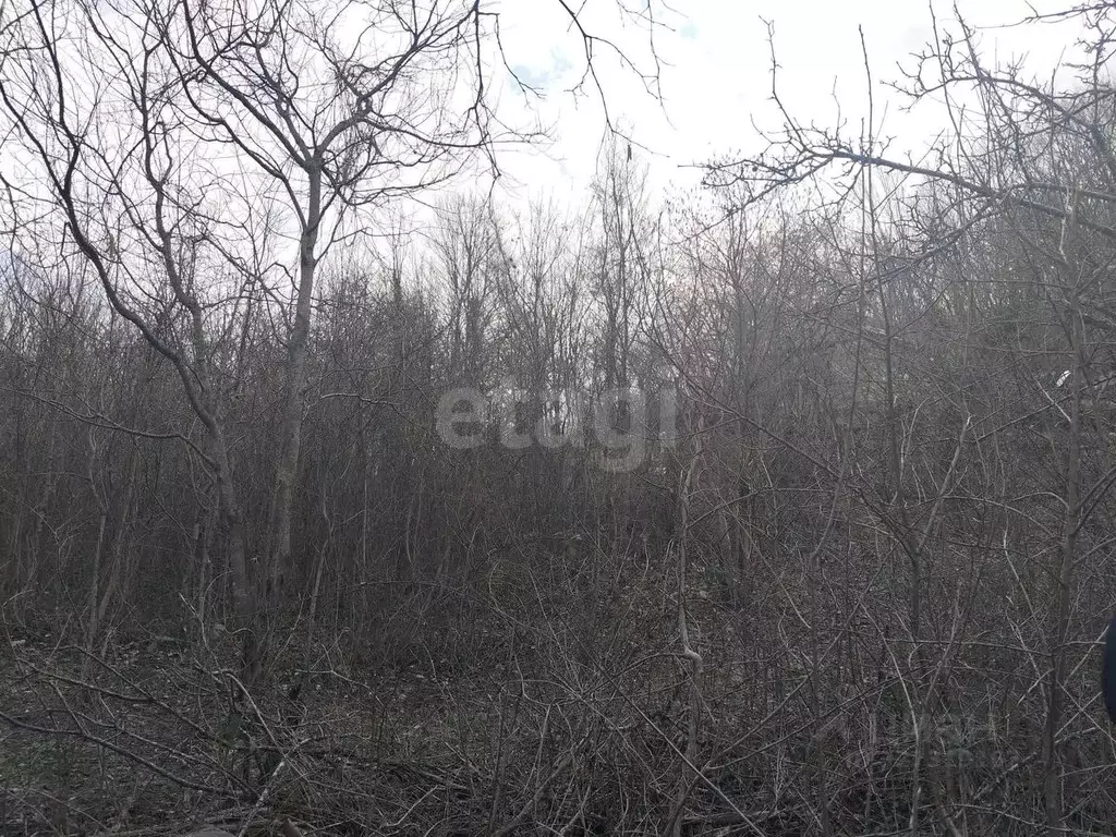 Участок в Краснодарский край, Геленджик городской округ, с. ... - Фото 1