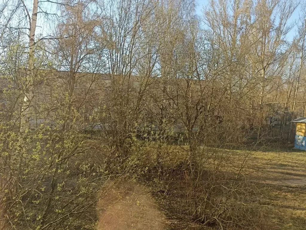 1-к кв. Ярославская область, Ярославль ул. Громова, 34 (21.7 м) - Фото 2