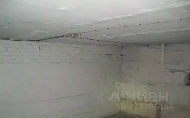 Помещение свободного назначения в Новосибирская область, Новосибирск ... - Фото 2