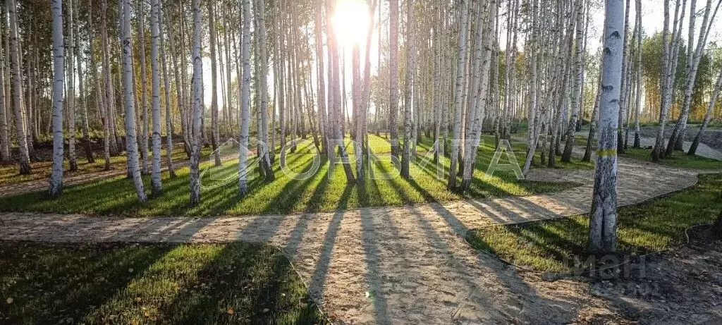 Участок в Тюменская область, Нижнетавдинский район, Строитель ТСН  ... - Фото 0
