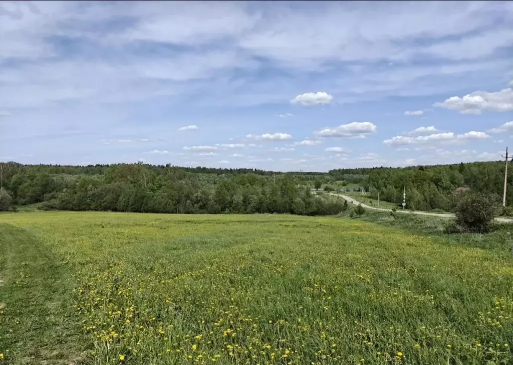Участок в Московская область, Сергиево-Посадский городской округ, д. ... - Фото 2