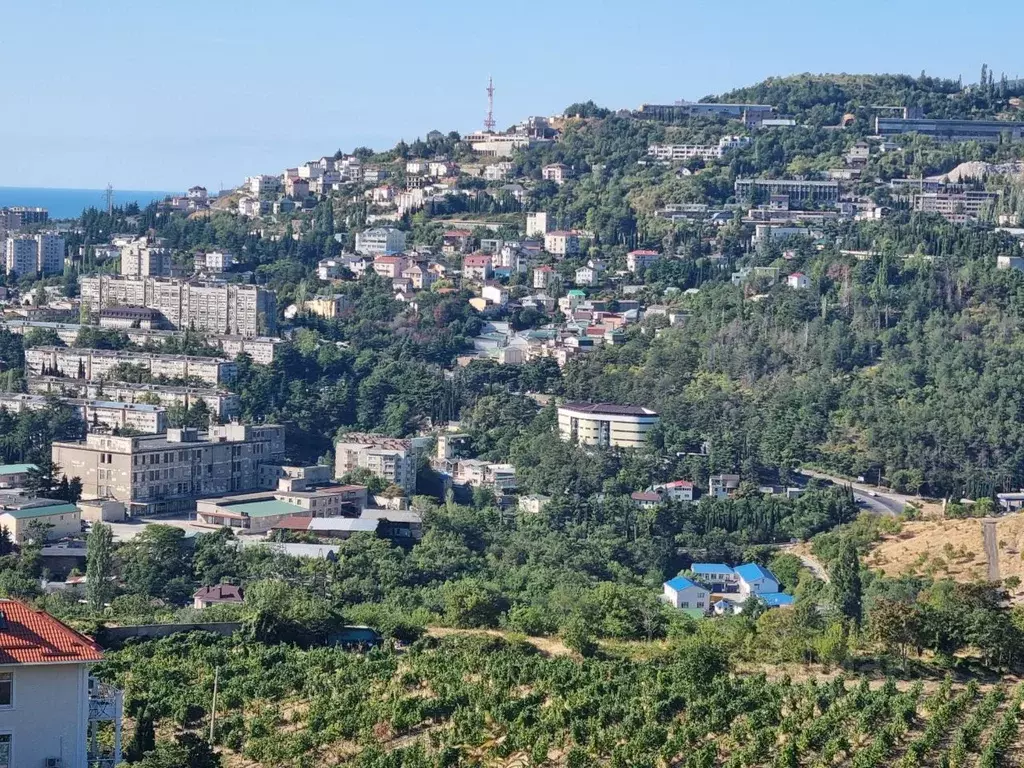 Участок в Крым, Ялта Васильевка мкр,  (10.0 сот.) - Фото 1