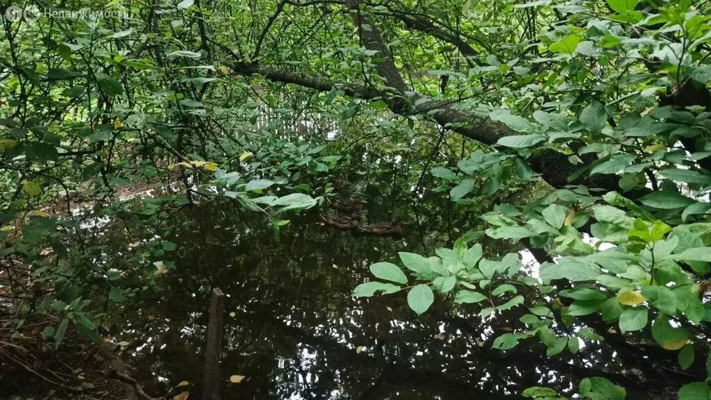 Дом в Хабаровский район, садовое некоммерческое товарищество Кабельщик ... - Фото 0
