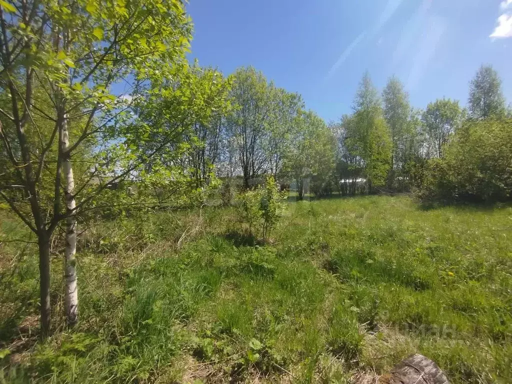 Участок в Костромская область, Шарья городской округ, д. Алешунино ... - Фото 1