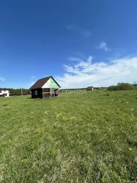 Участок в Новосибирская область, Мошково рп ул. Шмидта, 6 (10.0 сот.) - Фото 2