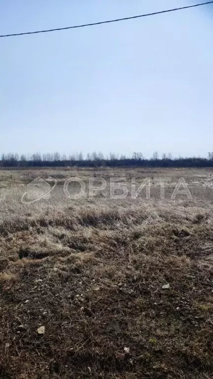 Участок в Тюменская область, Тюменский муниципальный округ, с. Чикча, ... - Фото 2