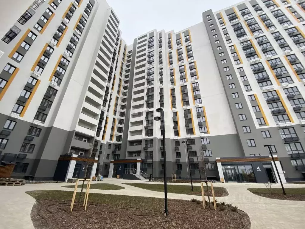 1-к кв. Липецкая область, Липецк ул. Механизаторов, 15 (30.76 м) - Фото 1