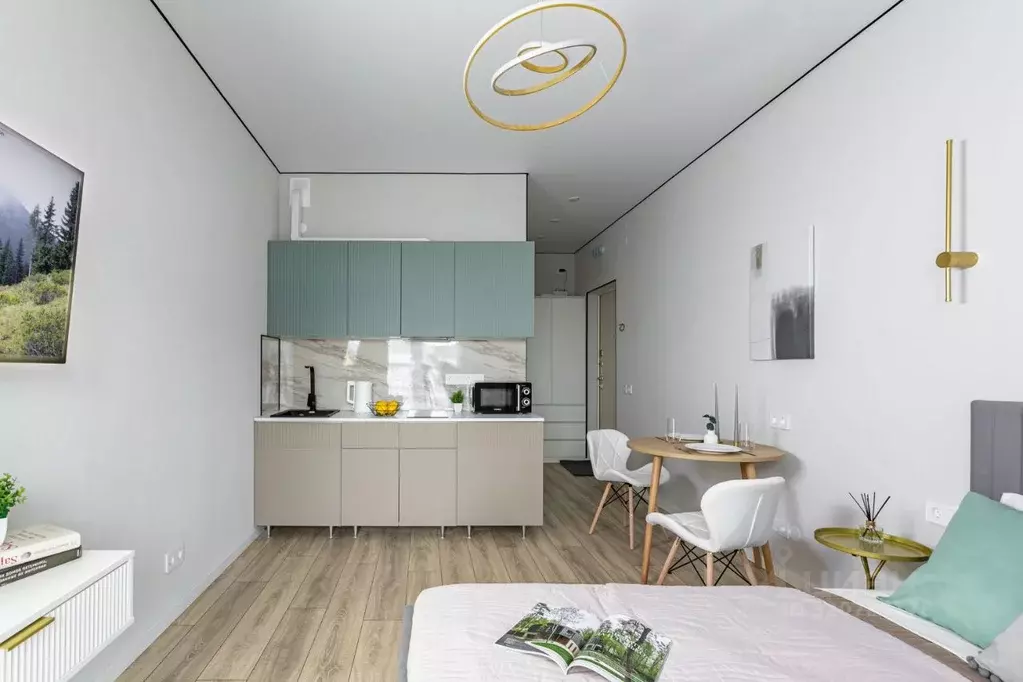 Студия Санкт-Петербург просп. Энергетиков, 2к1 (24.0 м) - Фото 1