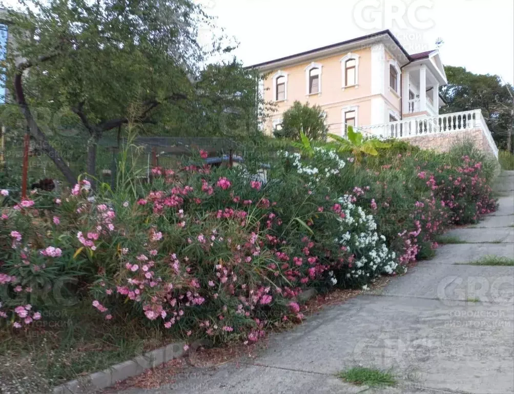 Дом в Краснодарский край, Сочи городской округ, с. Каштаны ул. ... - Фото 1