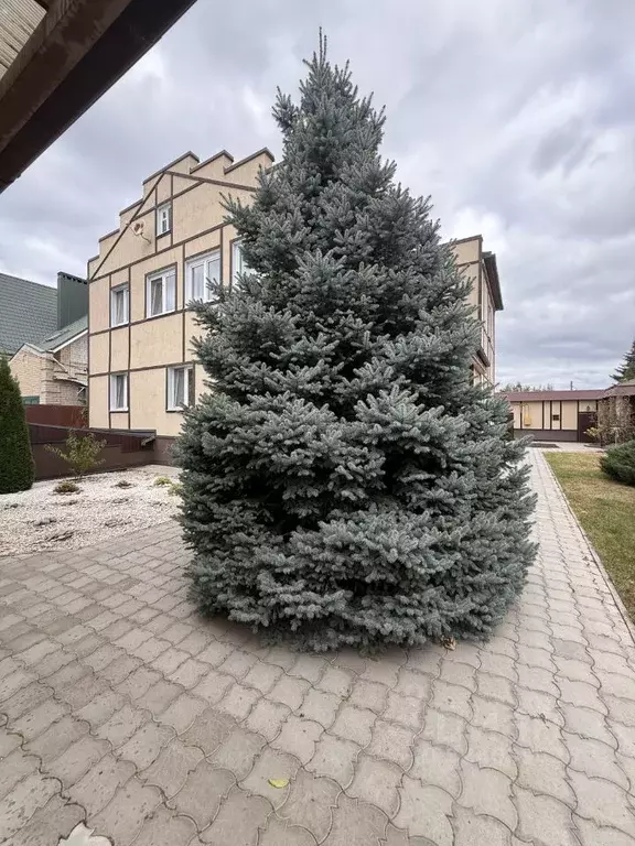 Дом в Саратовская область, Энгельс Рябиновый пер., 7 (330 м) - Фото 2