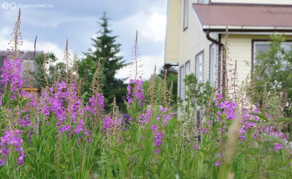 Участок в Московская область, городской округ Клин, дачный посёлок ... - Фото 0