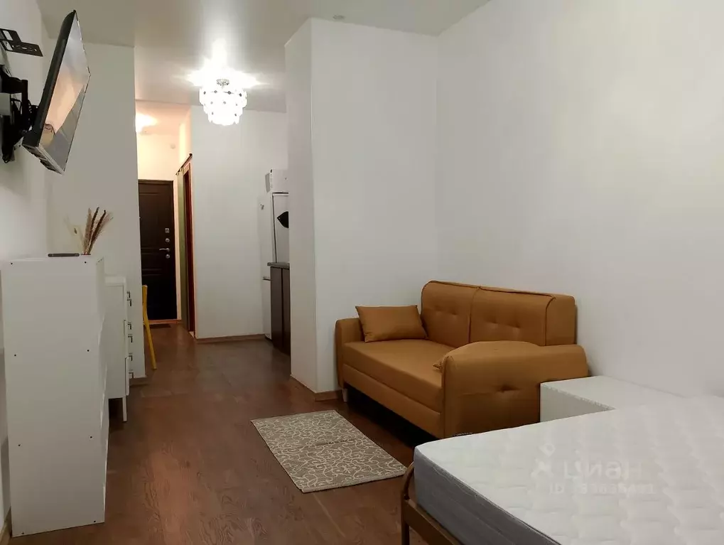 Студия Санкт-Петербург ул. Орджоникидзе, 52 (26.9 м) - Фото 2