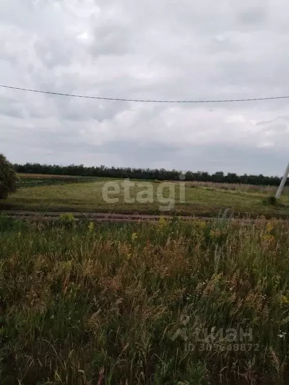 Участок в Башкортостан, Стерлитамакский район, Красноярский сельсовет, ... - Фото 0