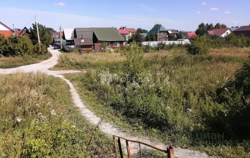 Участок в Новосибирская область, Новосибирский район, Кудряшовский ... - Фото 1