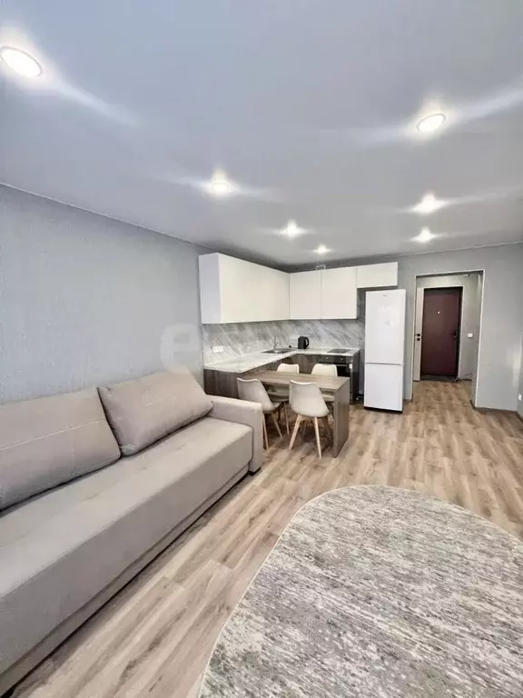 Студия Амурская область, Благовещенский район, с. Чигири Восточная ... - Фото 1