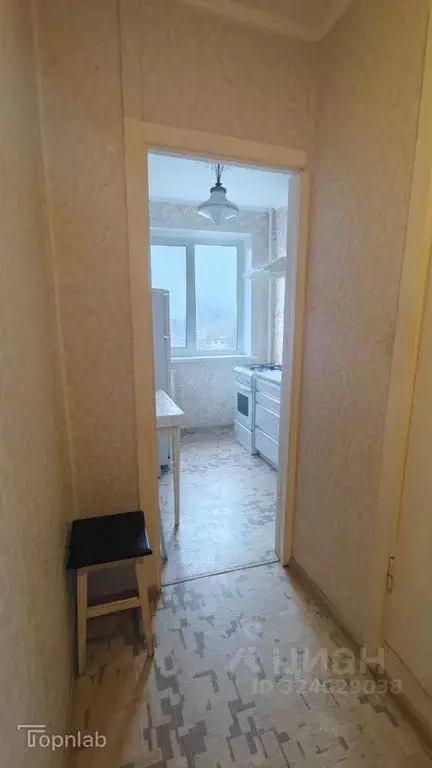 1-к кв. Саратовская область, Саратов ул. Имени В.И. Лебедева-Кумача, ... - Фото 1