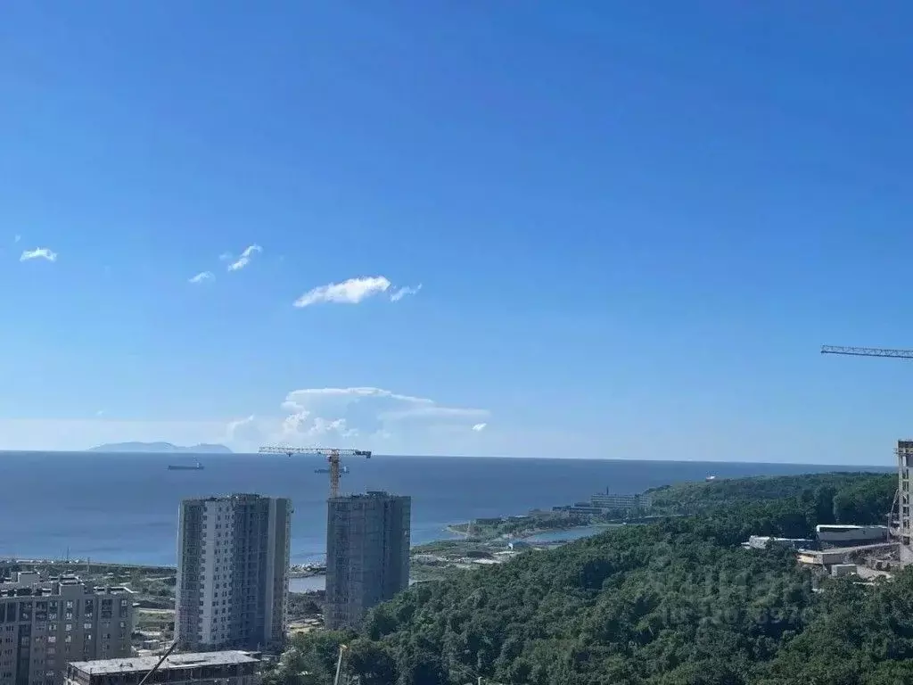 1-к кв. Приморский край, Владивосток ул. Сочинская, 1 (38.0 м) - Фото 1