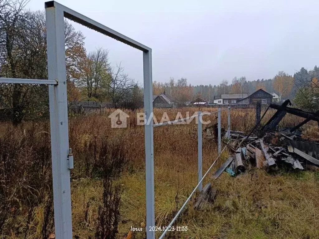 Участок в Владимирская область, Судогодский район, Андреевское ... - Фото 1