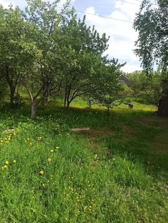 Дом в Ленинградская область, Ломоносовский район, Виллозское городское ... - Фото 1