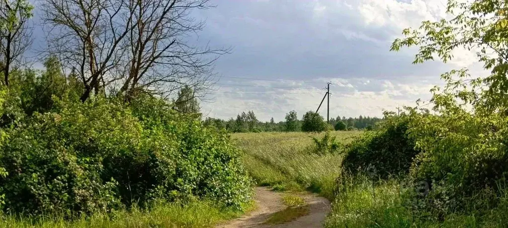 Участок в Псковская область, Псковский район, Середкинская волость, ... - Фото 1
