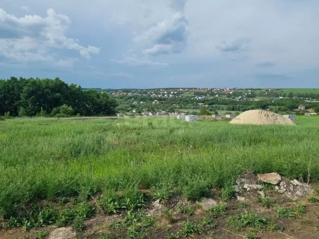 Участок в Белгородская область, Белгородский район, с. Стрелецкое 566 ... - Фото 1